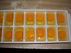 Freezing Eggs
